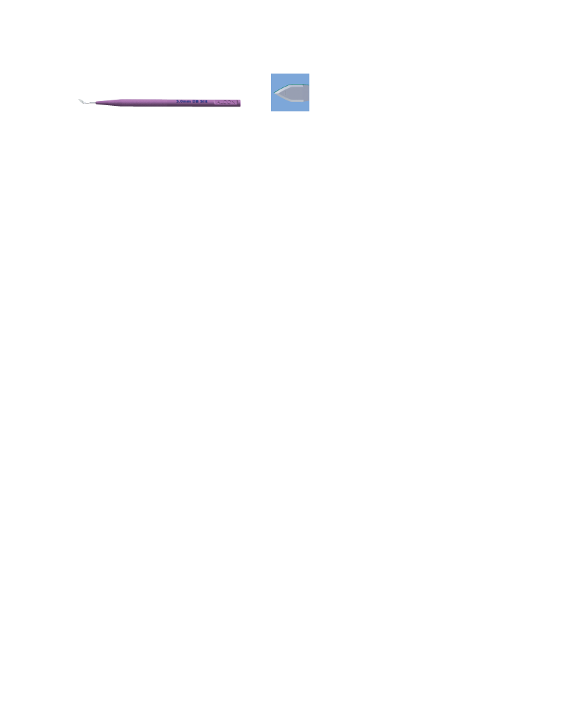 8065993047